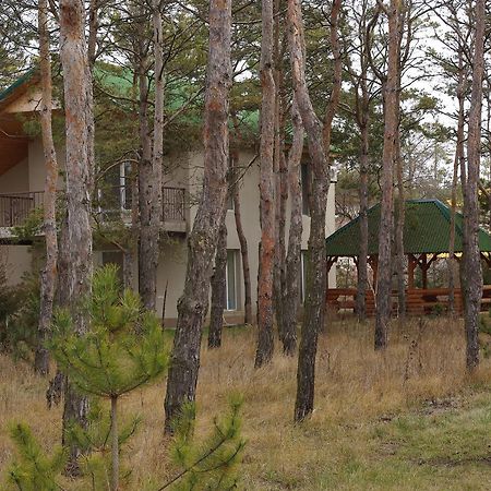 Hotel Allians Коблеве Екстер'єр фото